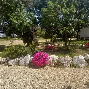 Nature Ferienhaus